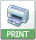 Print This Page