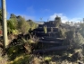 Img 4363