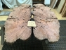 Img 3281 Item 8