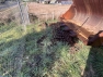Img 6593